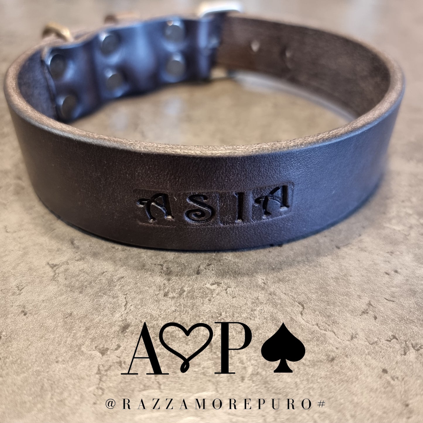 LEPUS collar with engraved name (CUSTOMIZABLE FOR ALL SIZES)