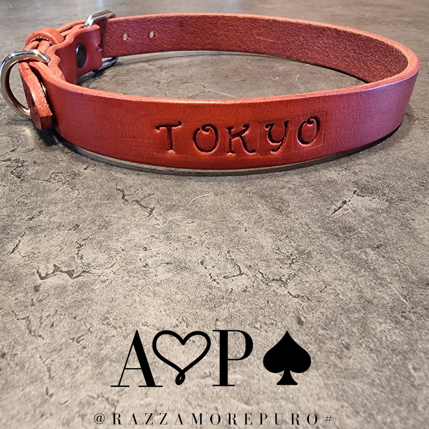 LEPUS collar with engraved name (CUSTOMIZABLE FOR ALL SIZES)