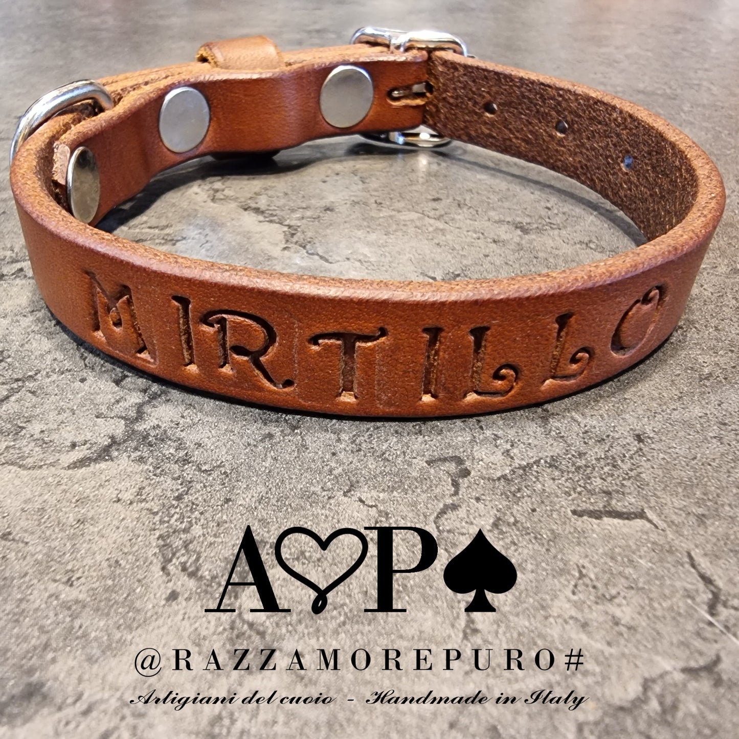 LEPUS collar with engraved name (CUSTOMIZABLE FOR ALL SIZES)