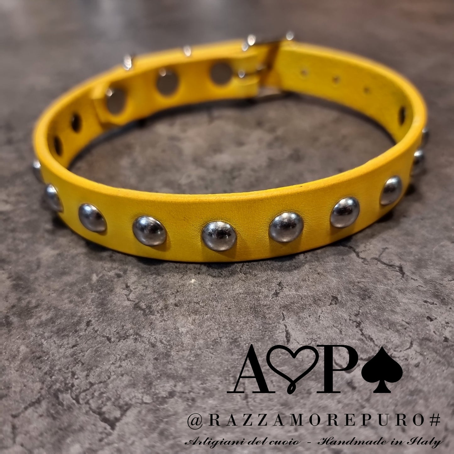 MOZI collar (CUSTOMIZABLE FOR ALL SIZES)