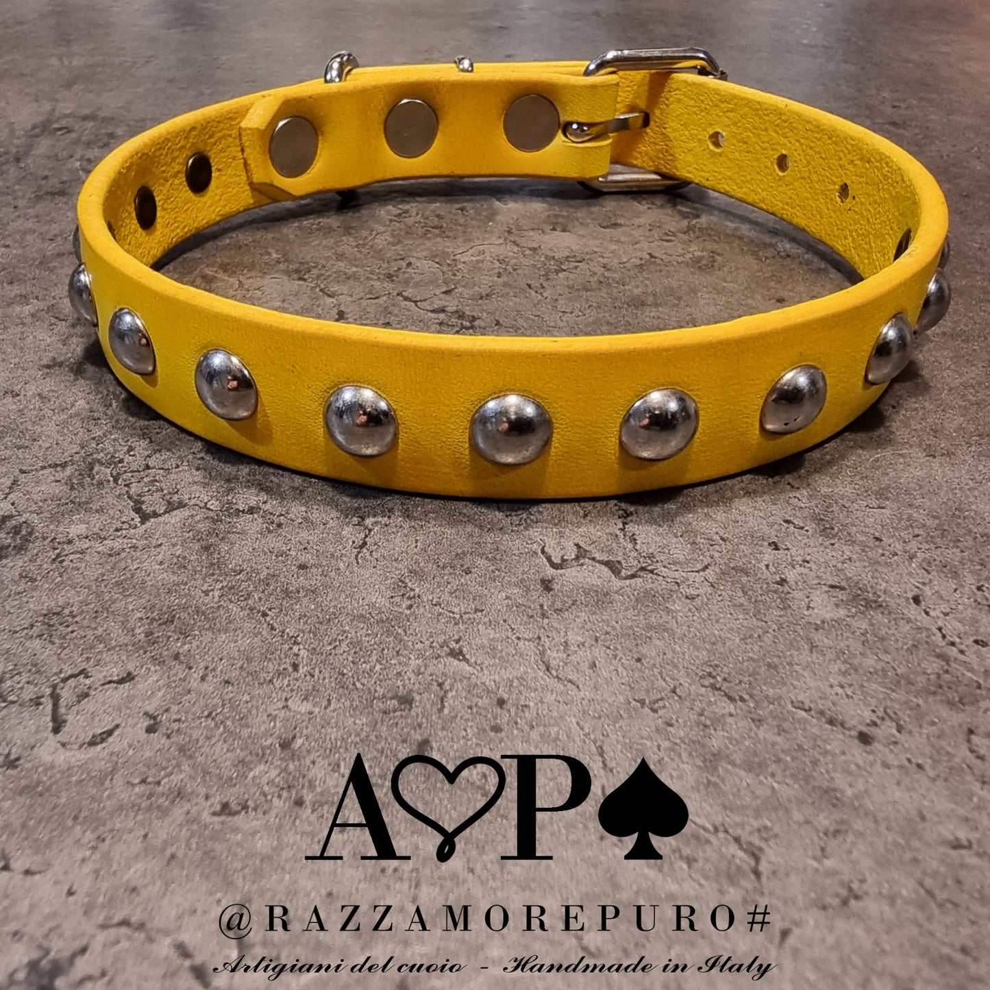 MOZI collar (CUSTOMIZABLE FOR ALL SIZES)