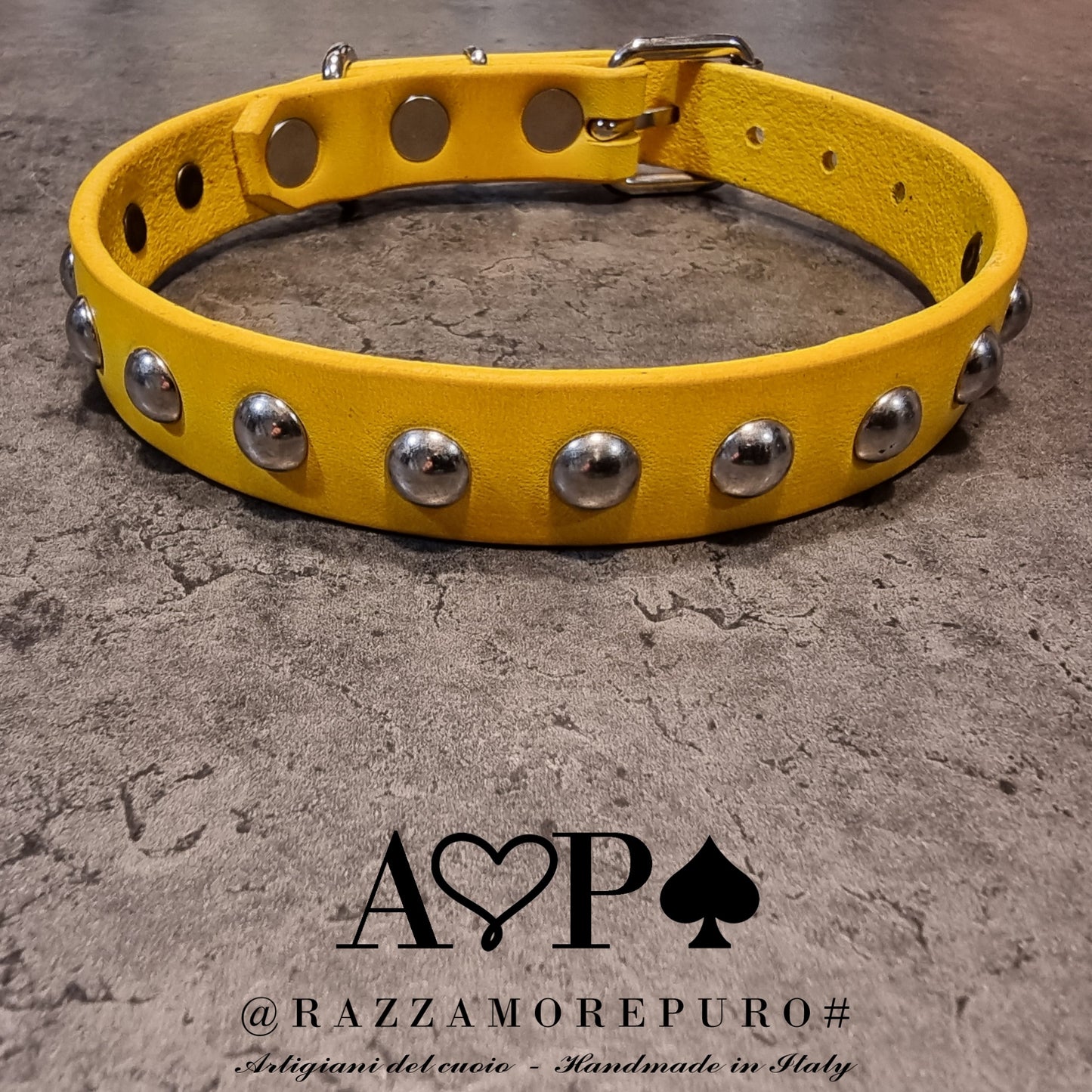 MOZI collar (CUSTOMIZABLE FOR ALL SIZES)