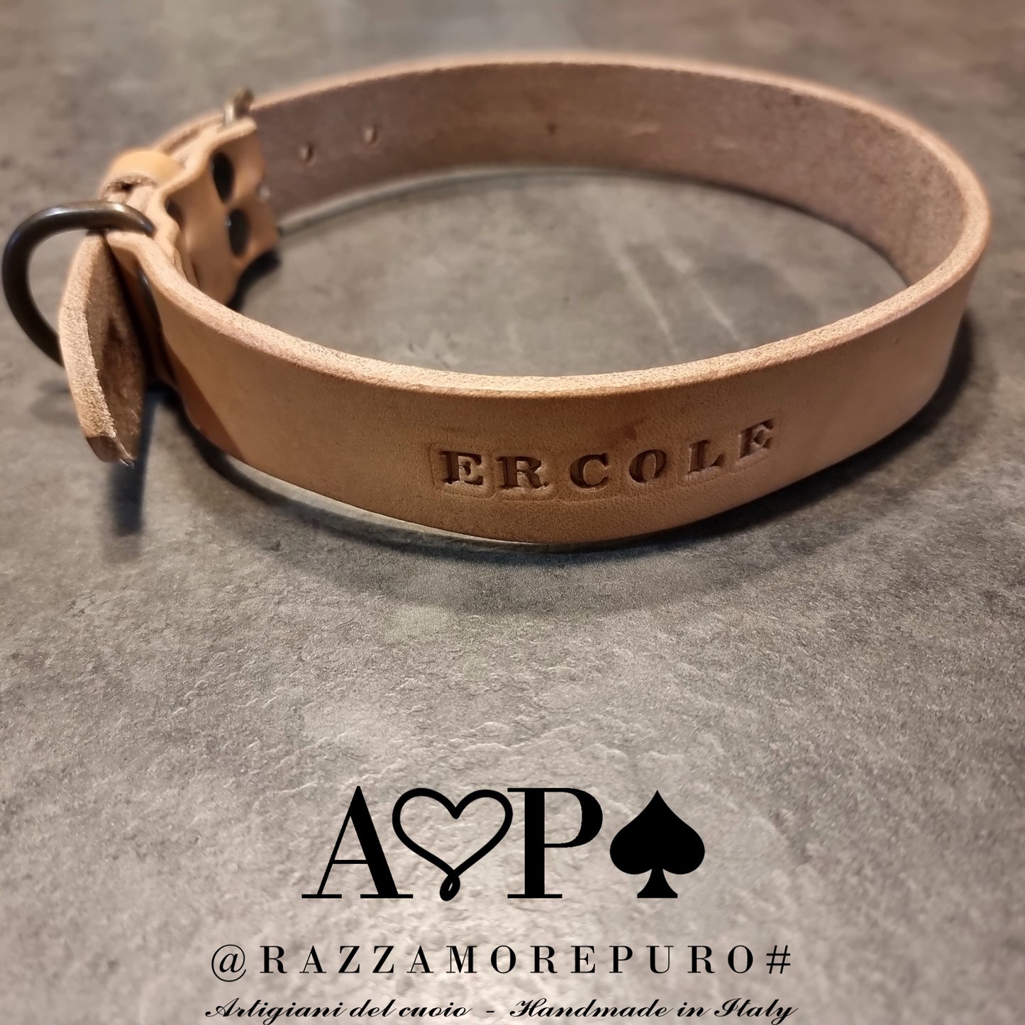 LEPUS collar with engraved name (CUSTOMIZABLE FOR ALL SIZES)