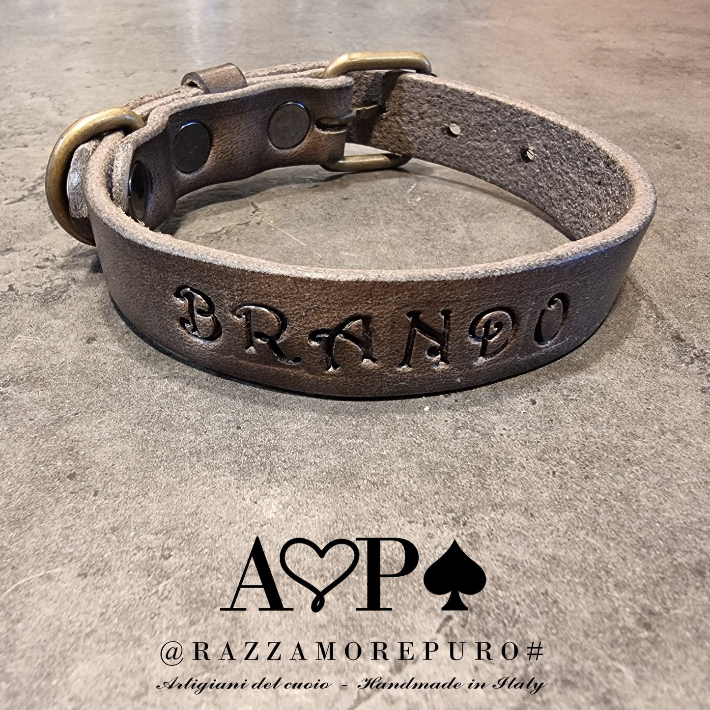 LEPUS collar with engraved name (CUSTOMIZABLE FOR ALL SIZES)