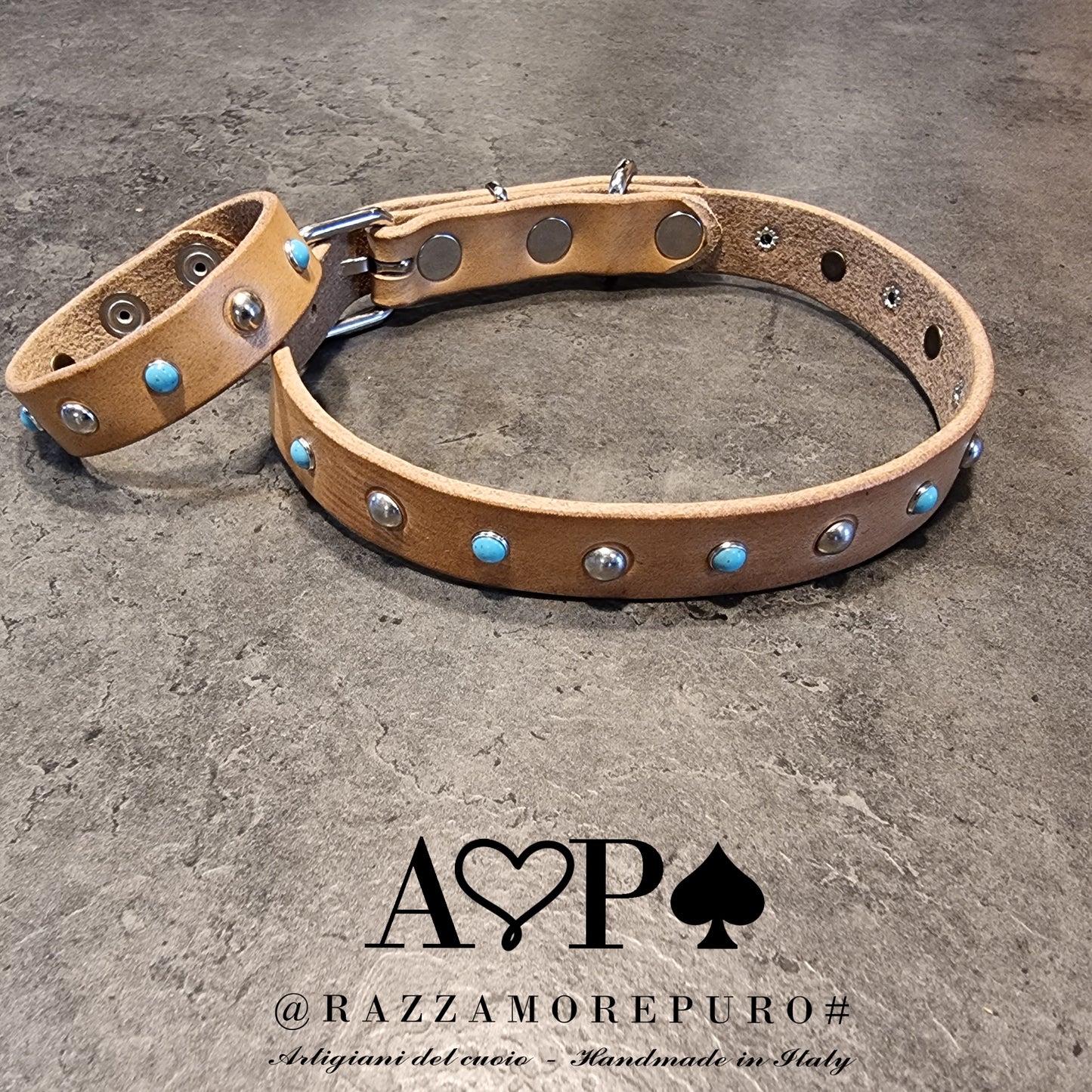 2cm RAZZAMOREPURO collar for small size