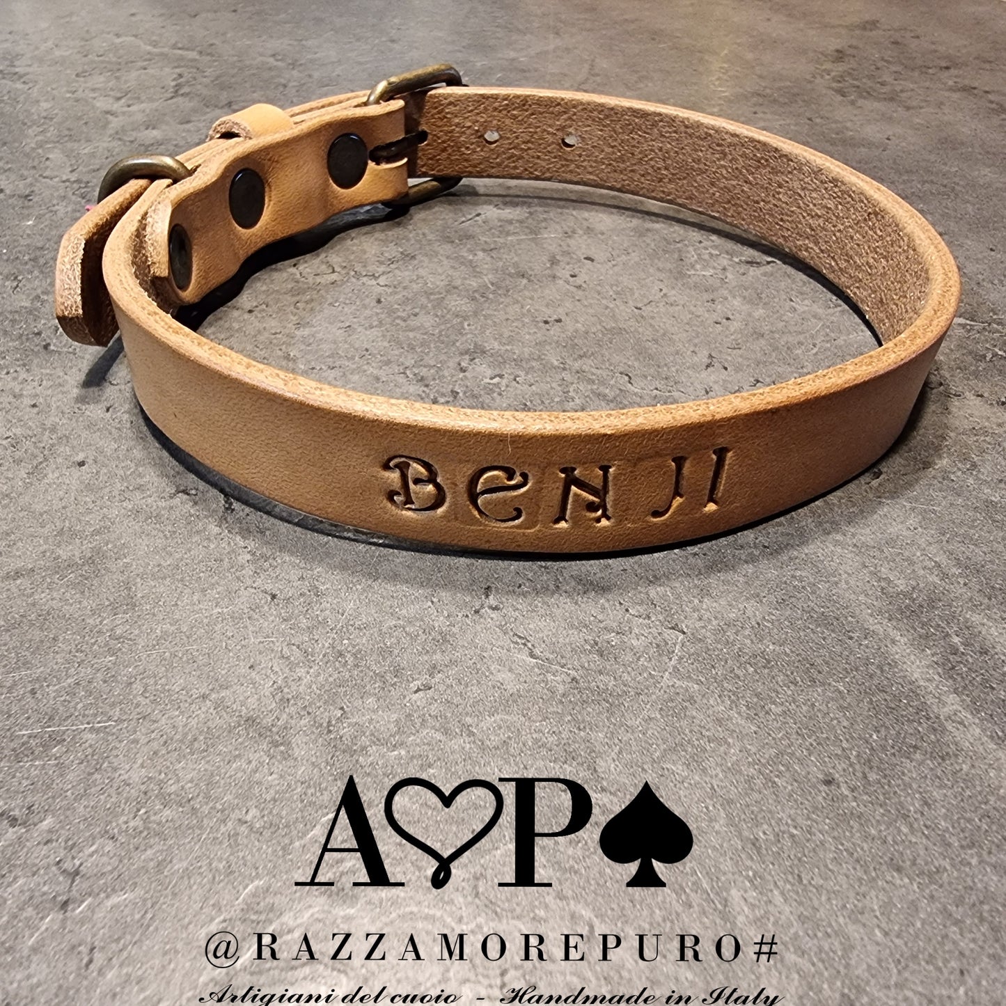 LEPUS collar with engraved name (CUSTOMIZABLE FOR ALL SIZES)