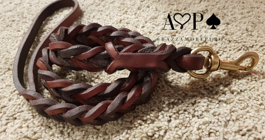 SERPENS braided leash (ideal for medium and large sizes)