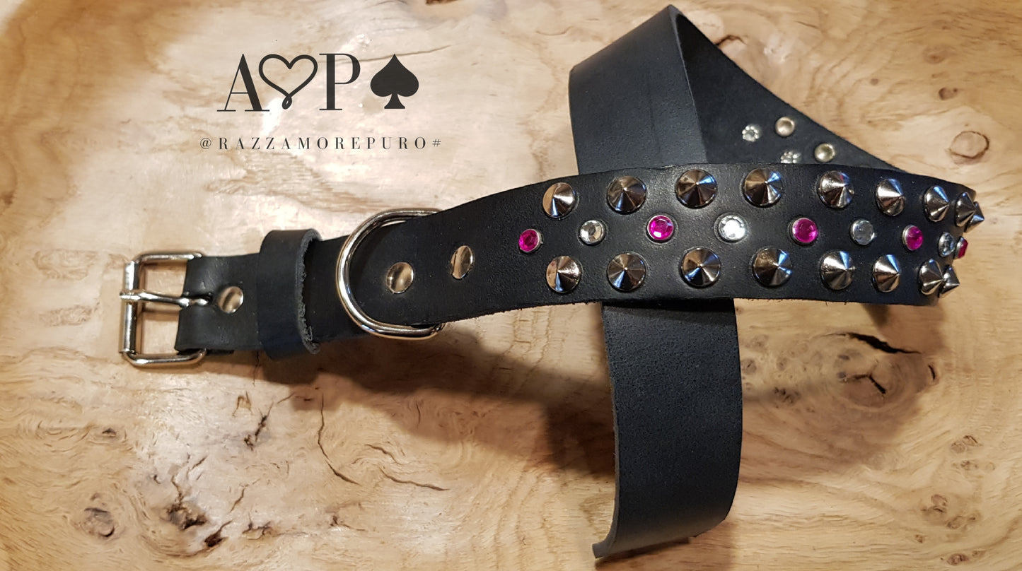 PERSEO collar (ideal for medium and large sizes)