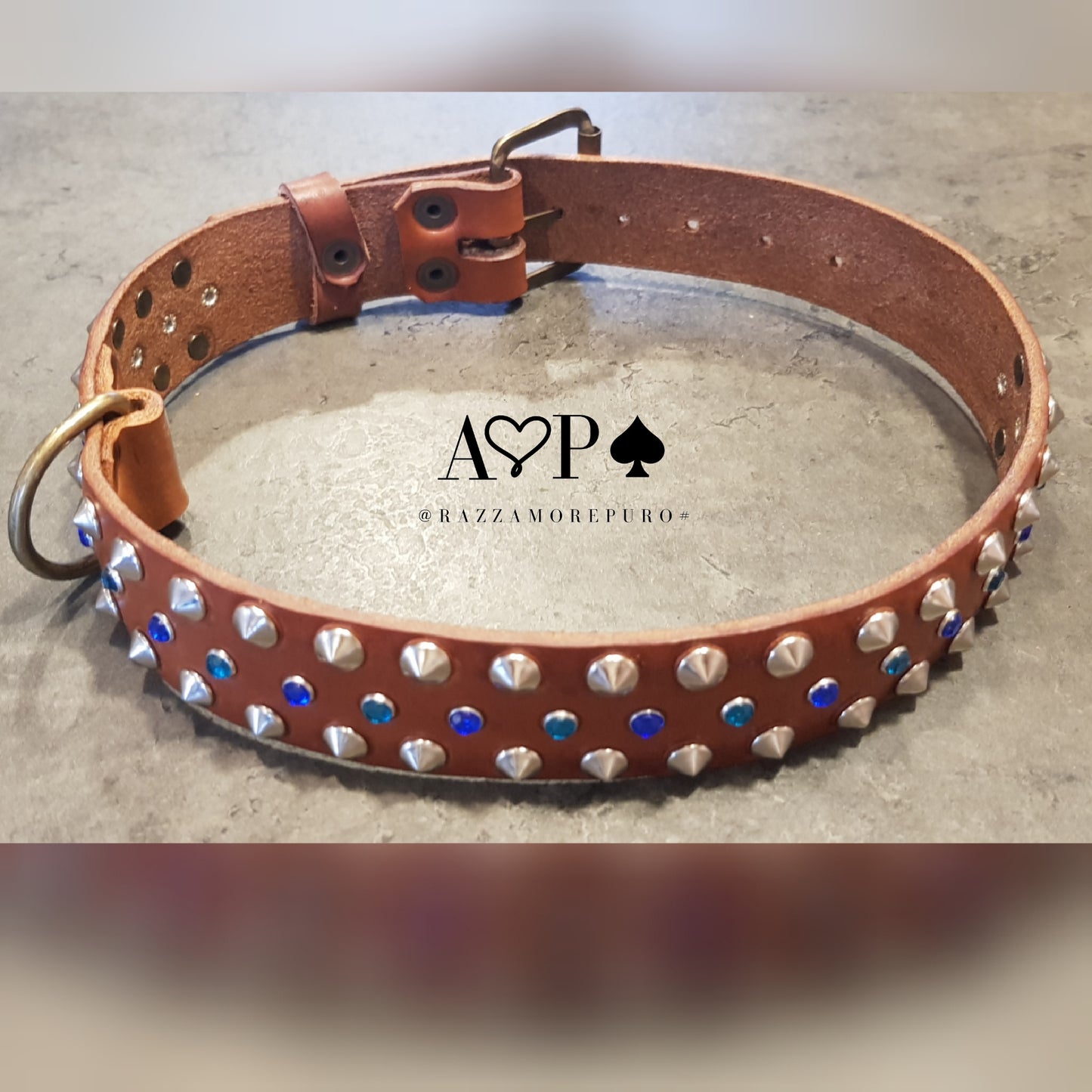 PERSEO collar (ideal for medium and large sizes)